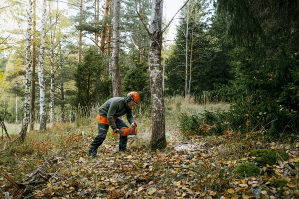 435i Akkumulátoros Láncfűrész - Image 5
